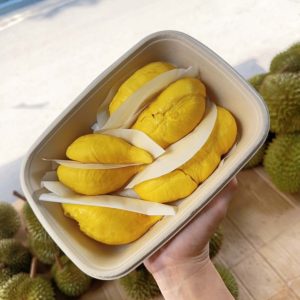 Sầu Riêng Musangking (Malaysia) - Giá Cơm Sầu 1Kg